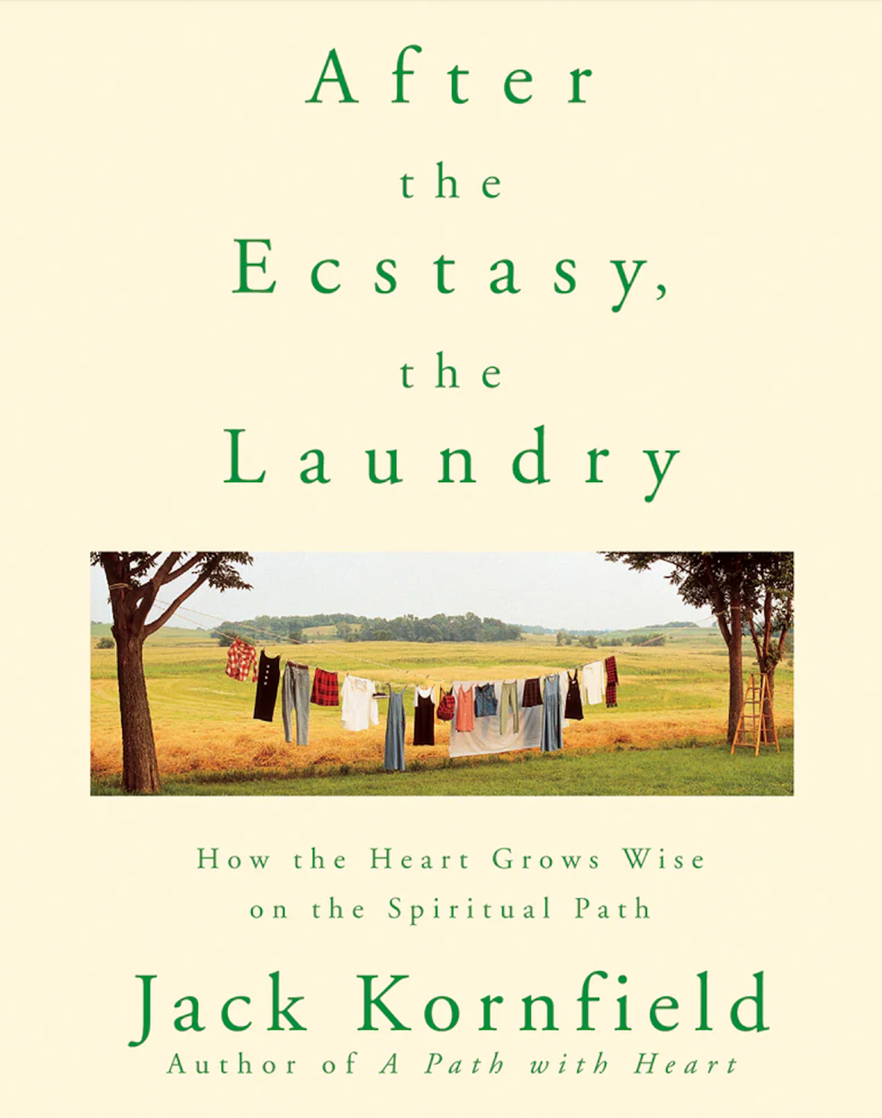 After the Ecstasy, the Laundry by Jack Kornfield