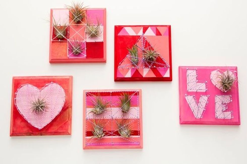 Air Plant Wall Art diy valentine's gift