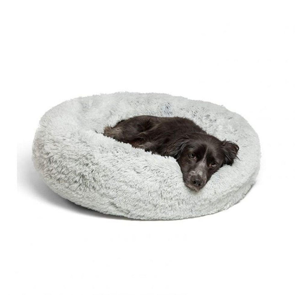 30 Pet Beds That Won’t Ruin Your Home Decor - Brit + Co