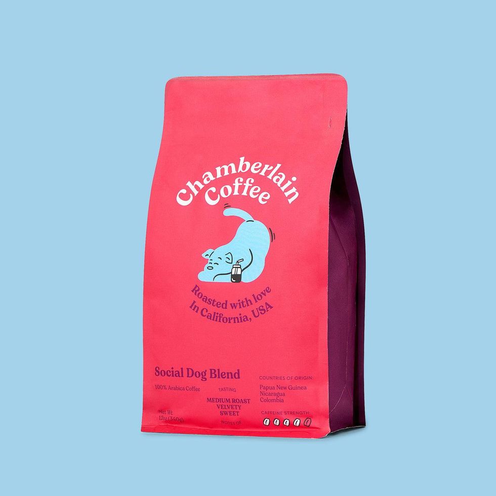 Chamberlain Coffee Social Dog Blend