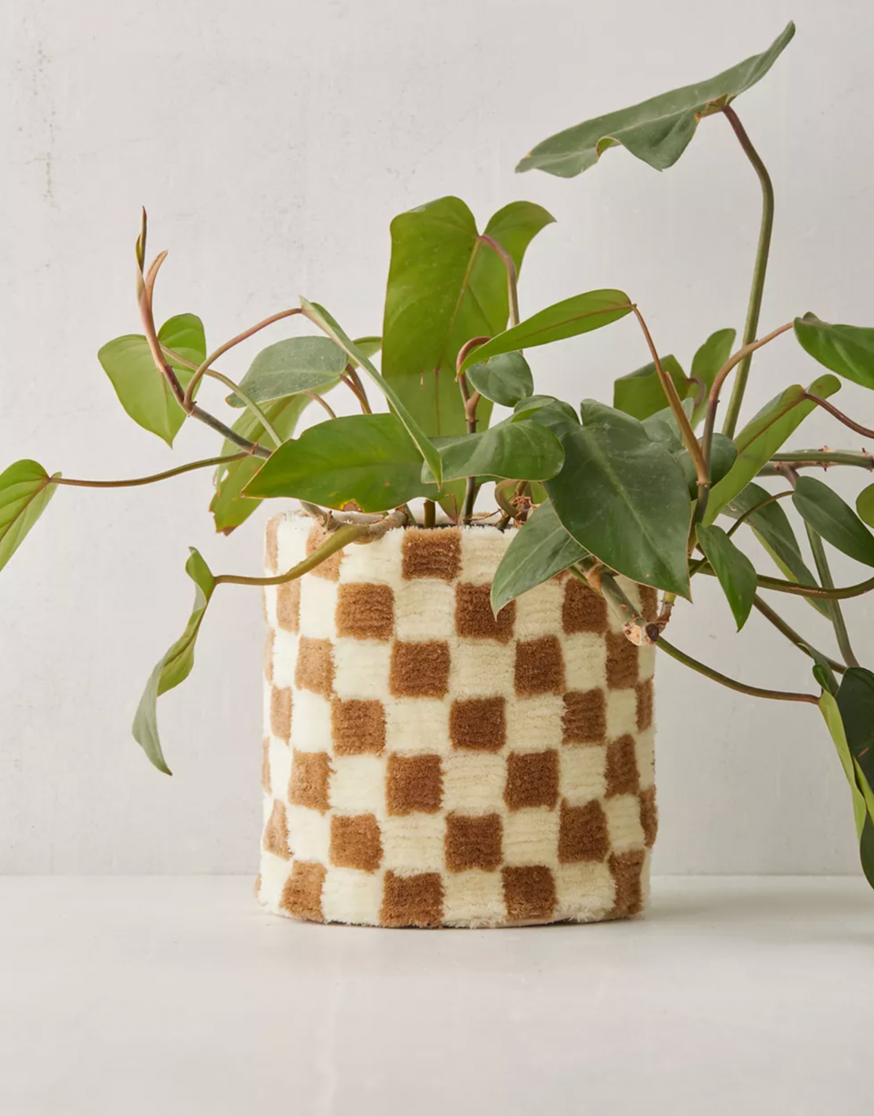 checkerboard plant potter urban outffiters