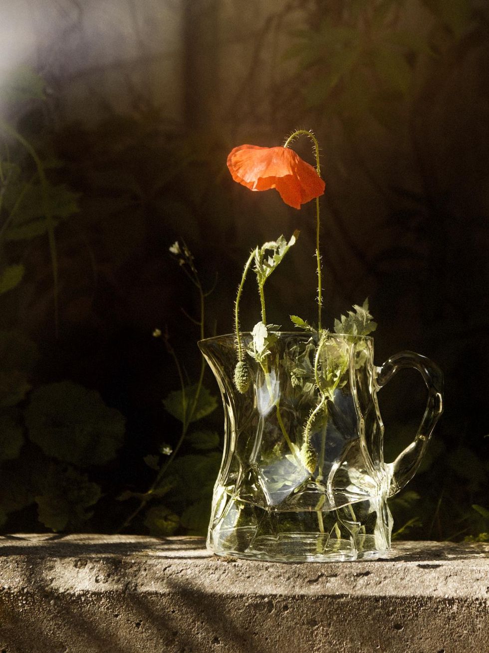 clear pitcher with a single orange flower