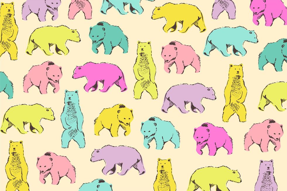 colorful bears zoom background