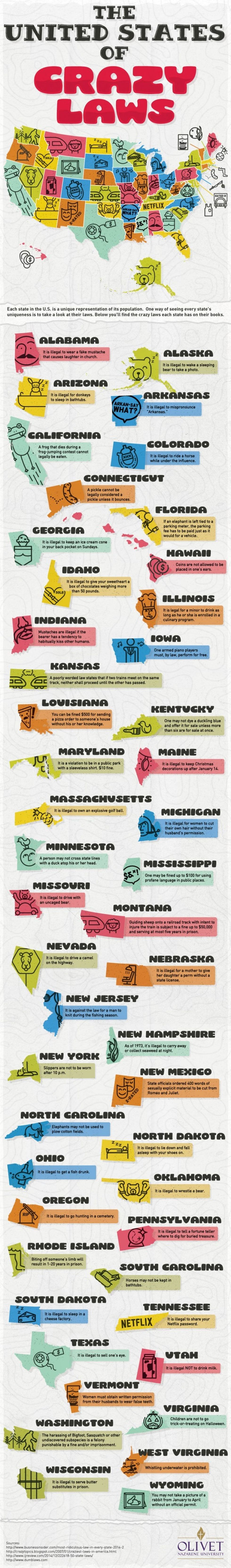 you-won-t-believe-these-wacky-laws-exist-in-your-state-brit-co