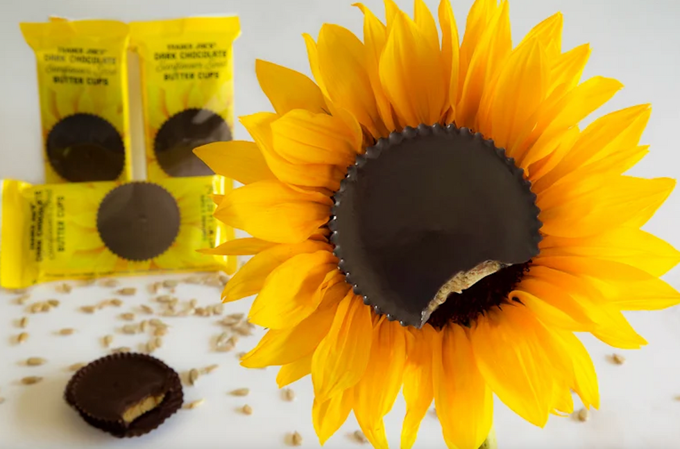 Dark Chocolate Sunflower Seed Butter Cups