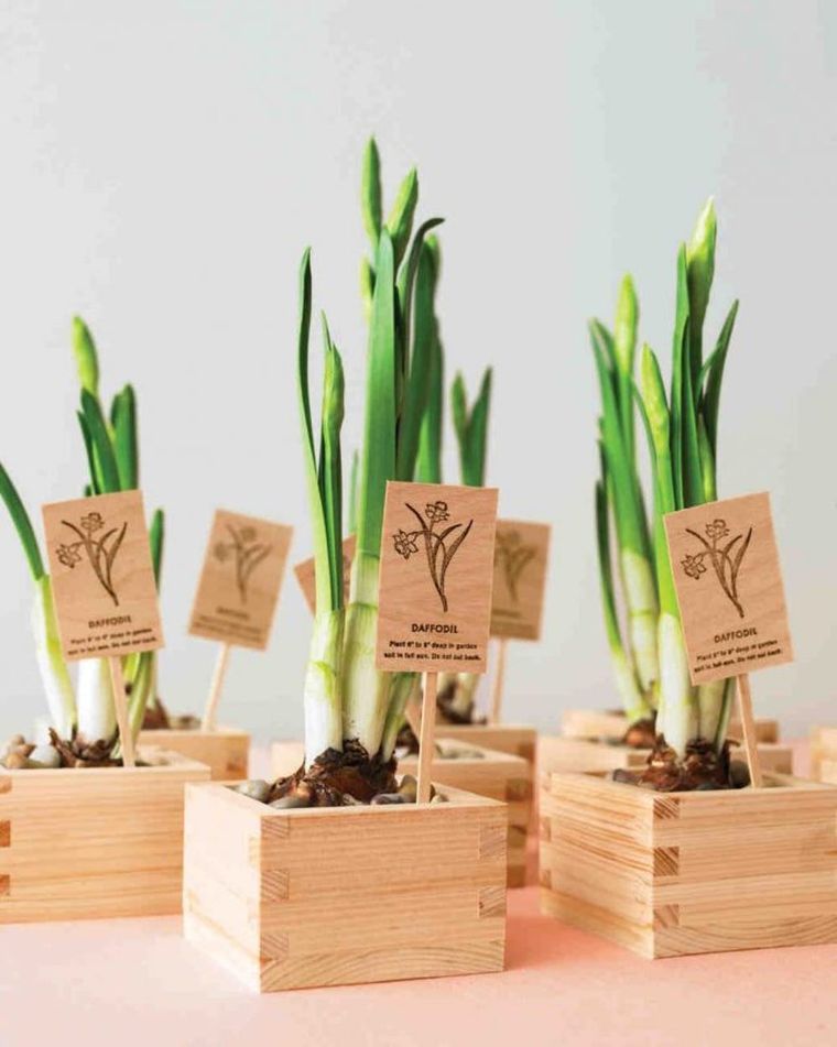 Thoughtful Plant Wedding Favors that Grow & Last - Botanical