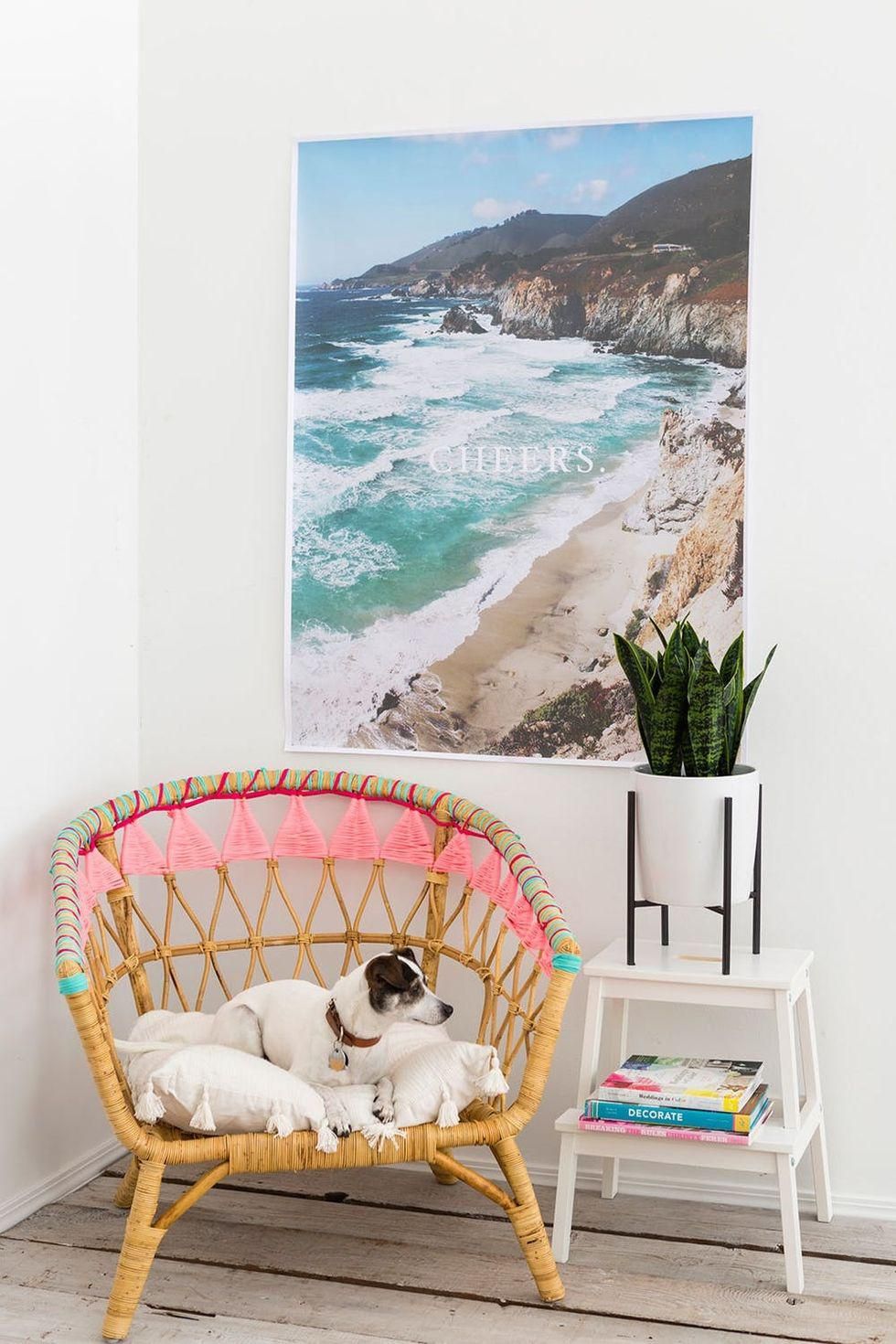 dog sitting on the diy rattan chair IKEA hack