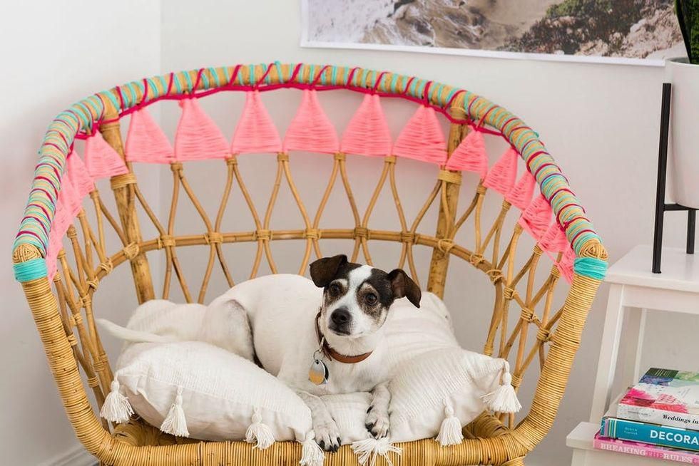 dog sitting on the finished colorful rattan chair IKEA hack