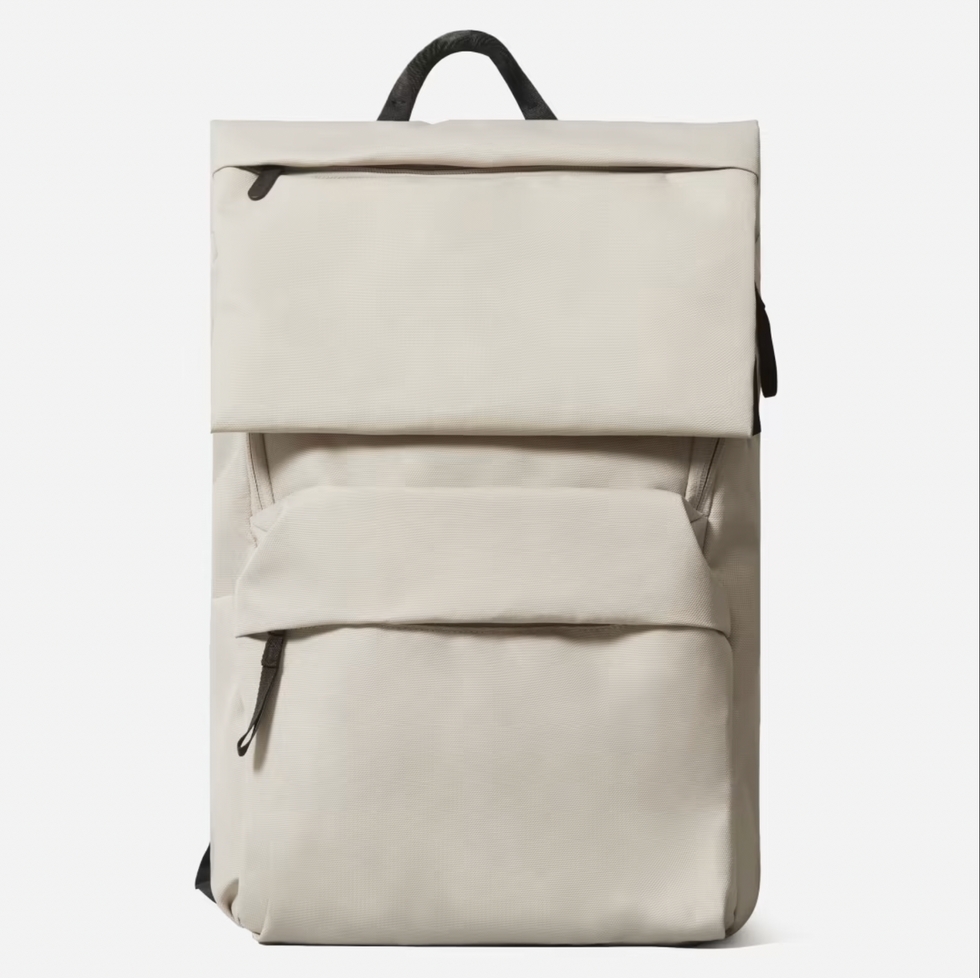 everlane backpack