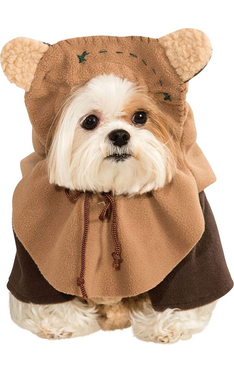 14 Ideas for Homemade Dog Halloween Costumes – Dogster