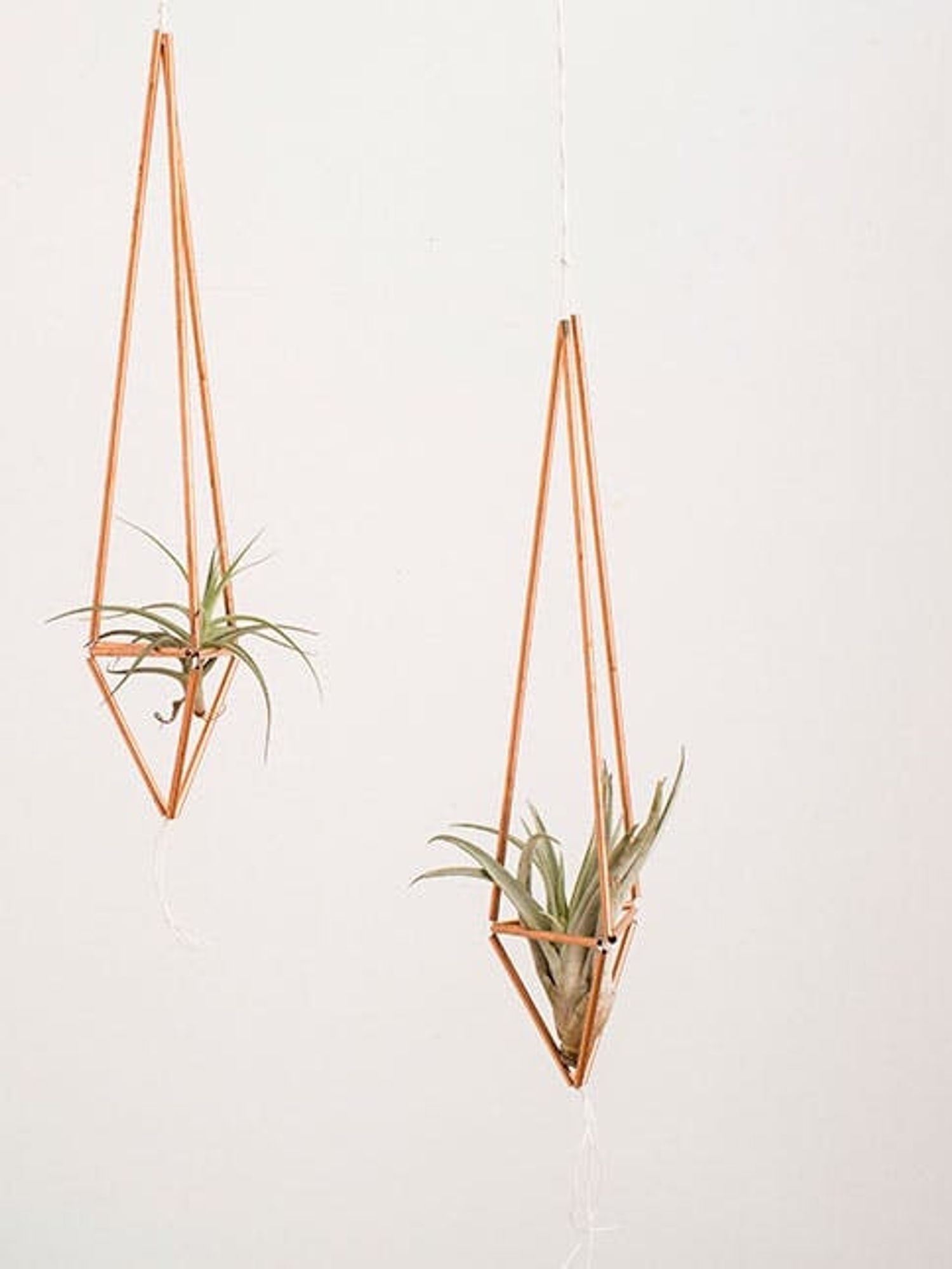 How to Make Gorg Copper Pipe Plant Hangers in 10 Minutes - Brit + Co