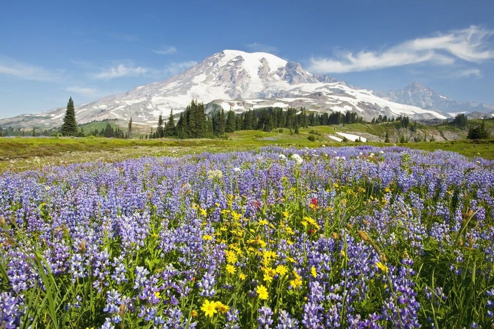 7 Stunning Pacific Northwest Destinations to Make the Most of Summer