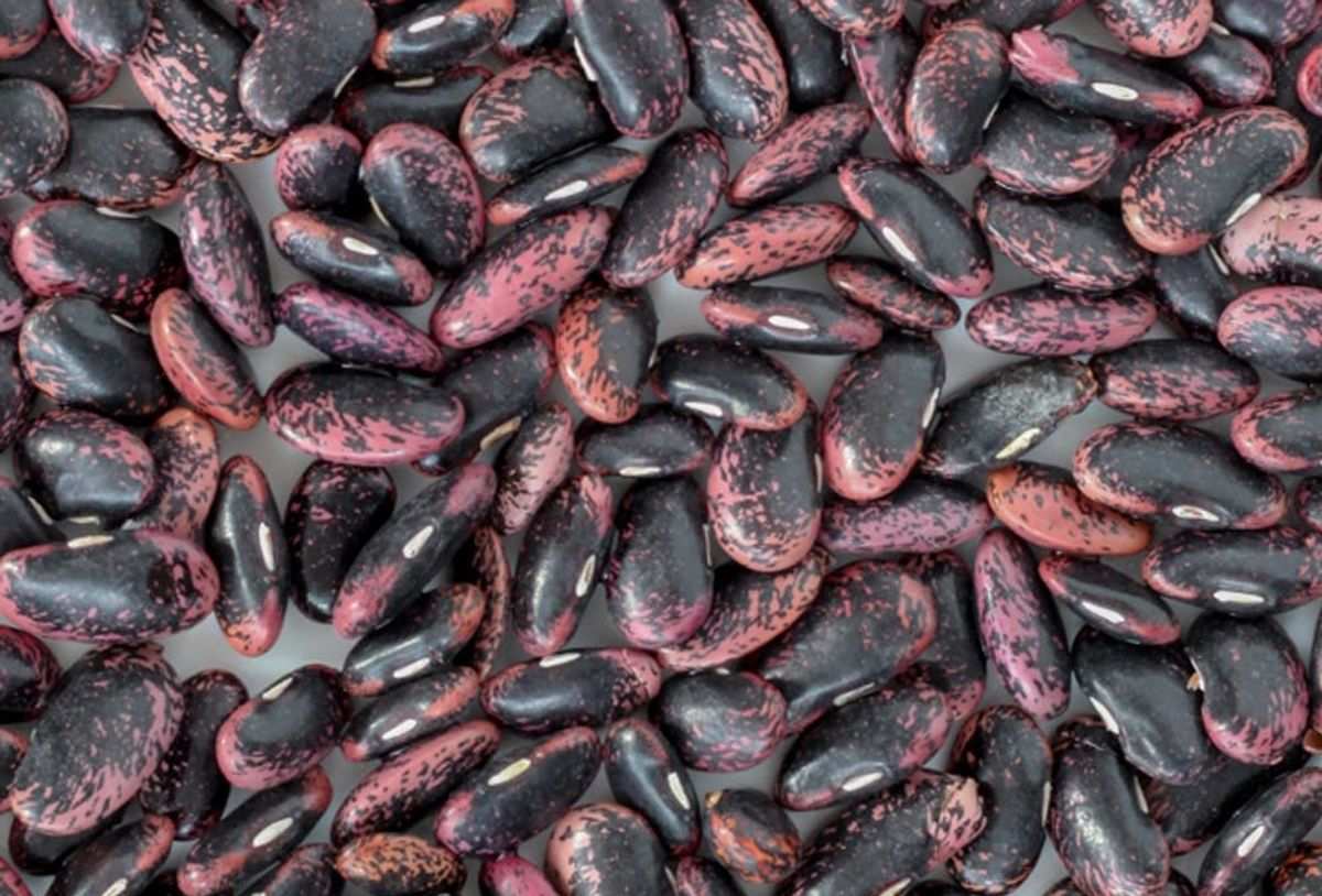 5 Tricks I Swear By For Making Beans More Digestible Brit Co