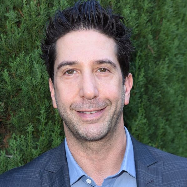 David Schwimmer Responds to a British Police Search for a ...