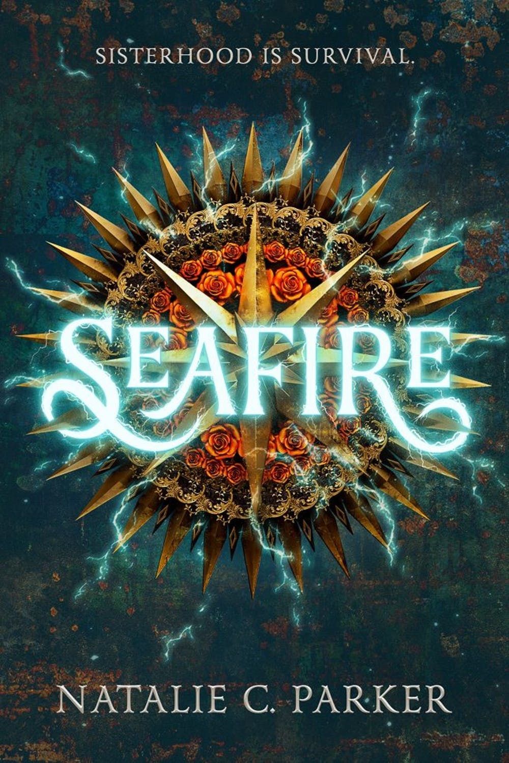 seafire book