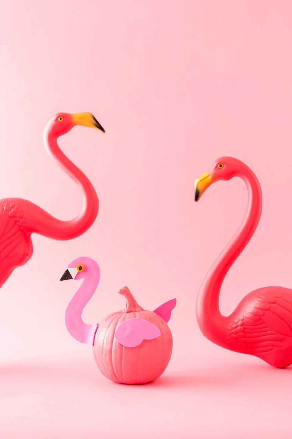 DIY No-Carve Painted Flamingo Pumpkin