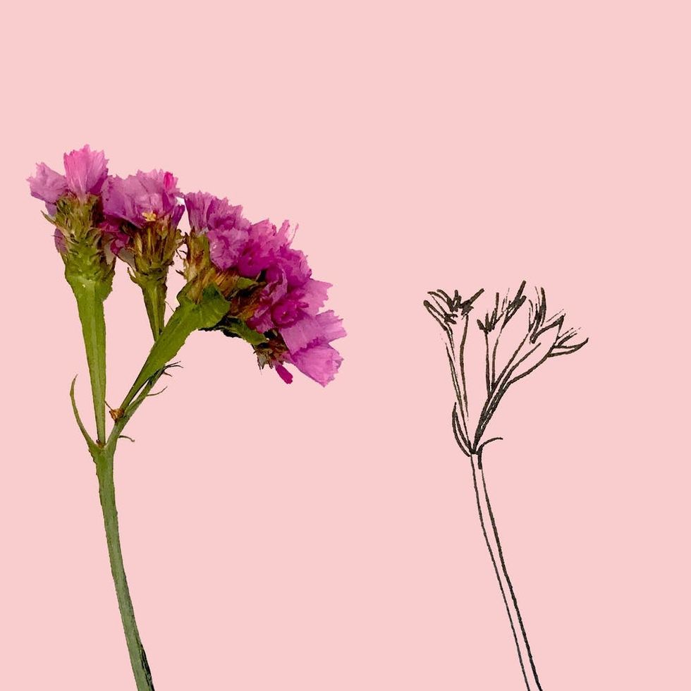 Learn How to Draw Any Wildflower in 5 Easy Steps Brit + Co