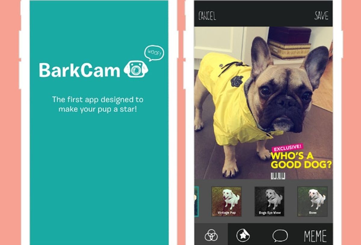 10 Dog Apps That Are Barking Genius - Brit + Co