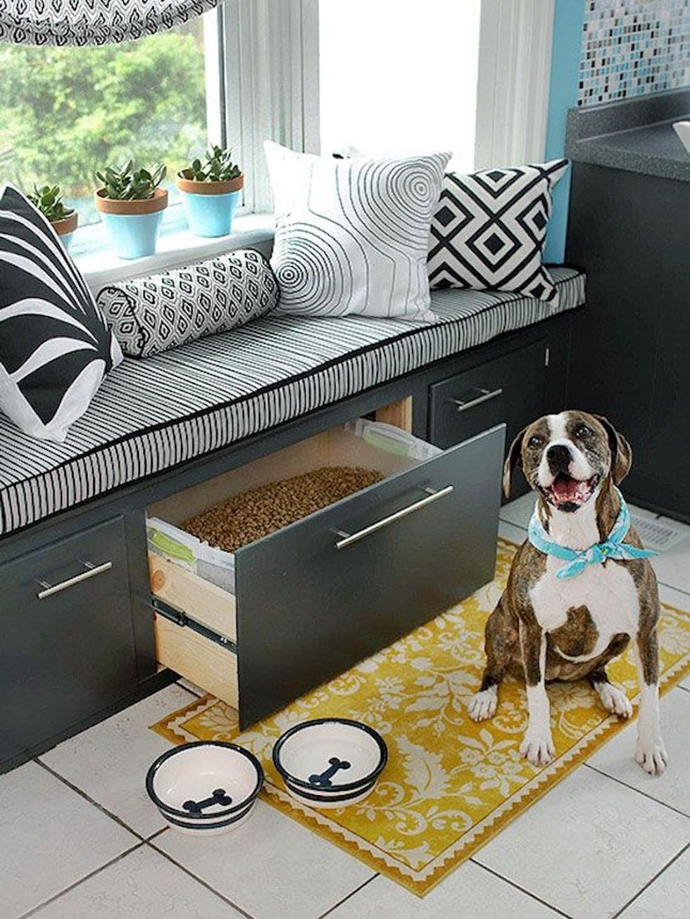 13 Small-Space Tips for Dog Lovers - Brit + Co