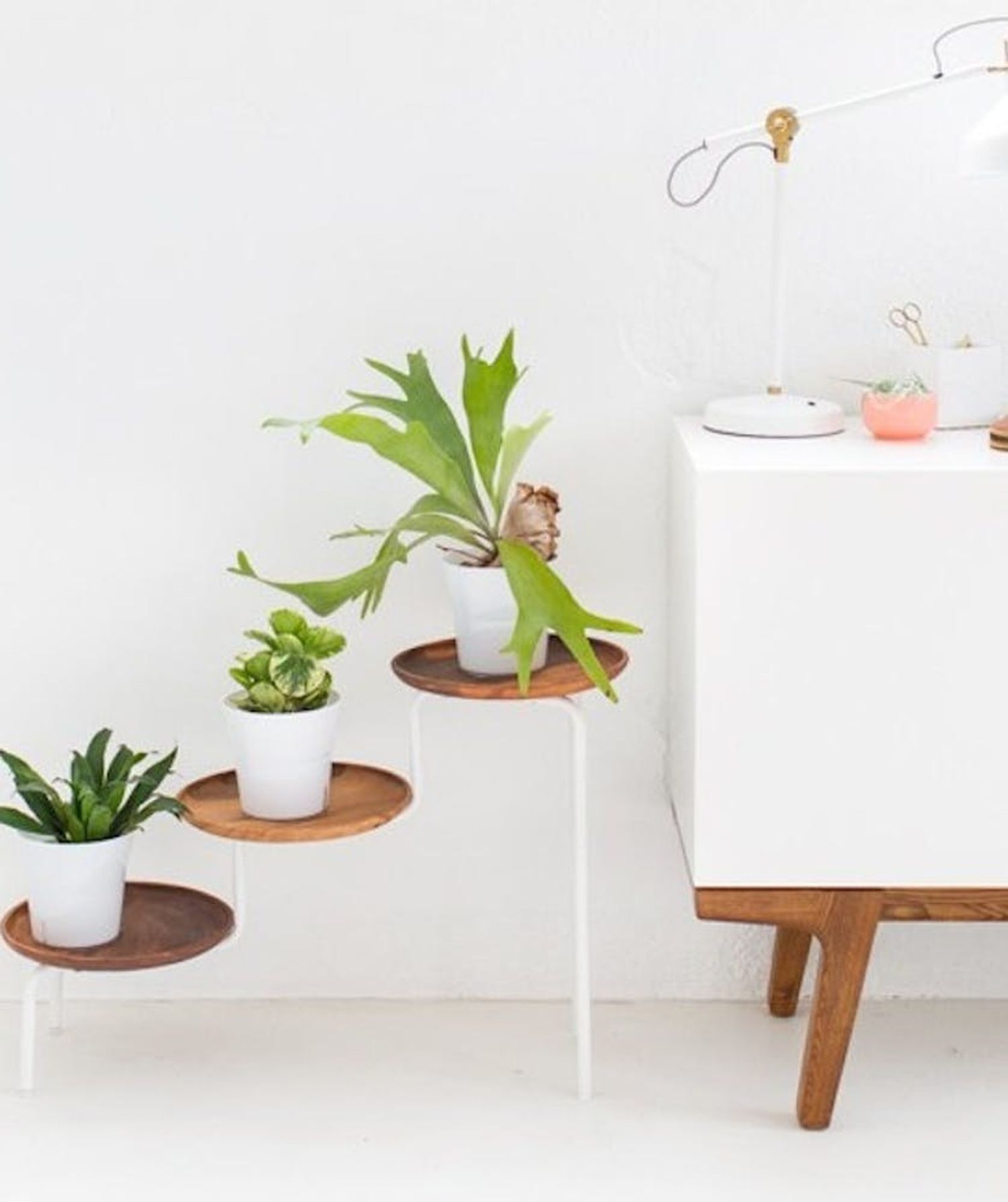 17 Modern Minimalist  DIY Plant  Stands  That ll Transform 