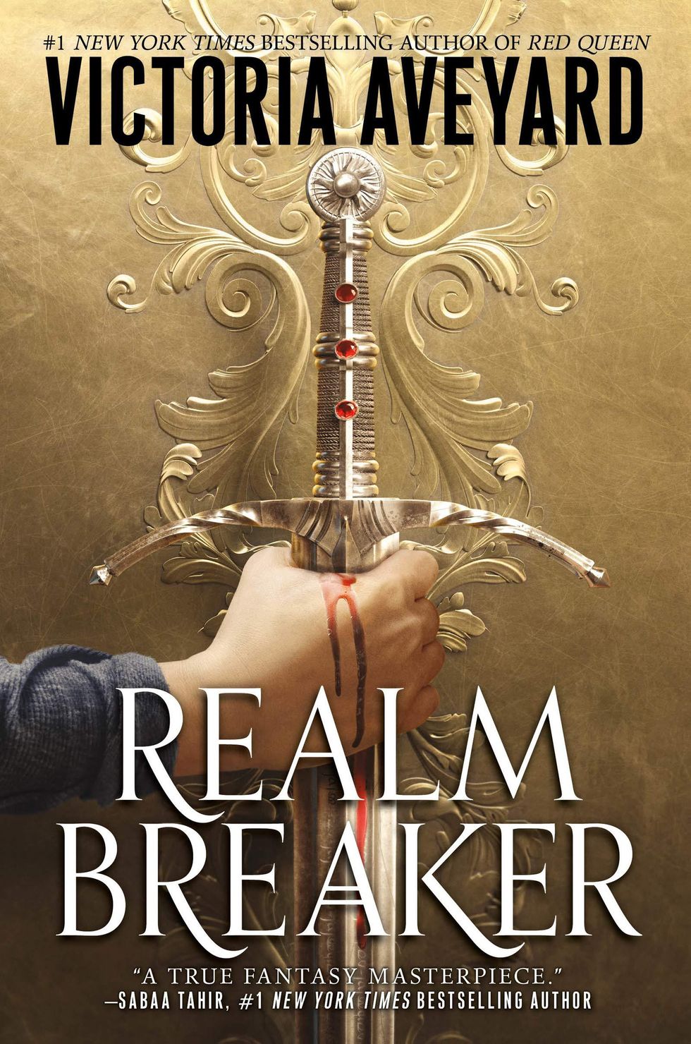 realm breaker beach read