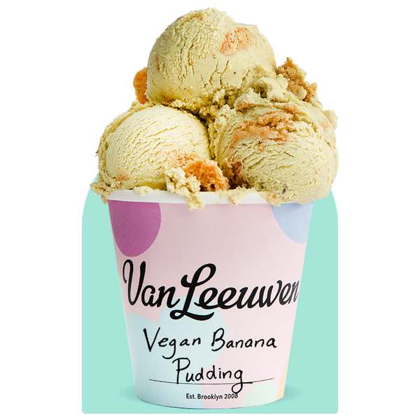 pink purple and blue carton of Van Leeuwen Vegan Banana Pudding ice cream