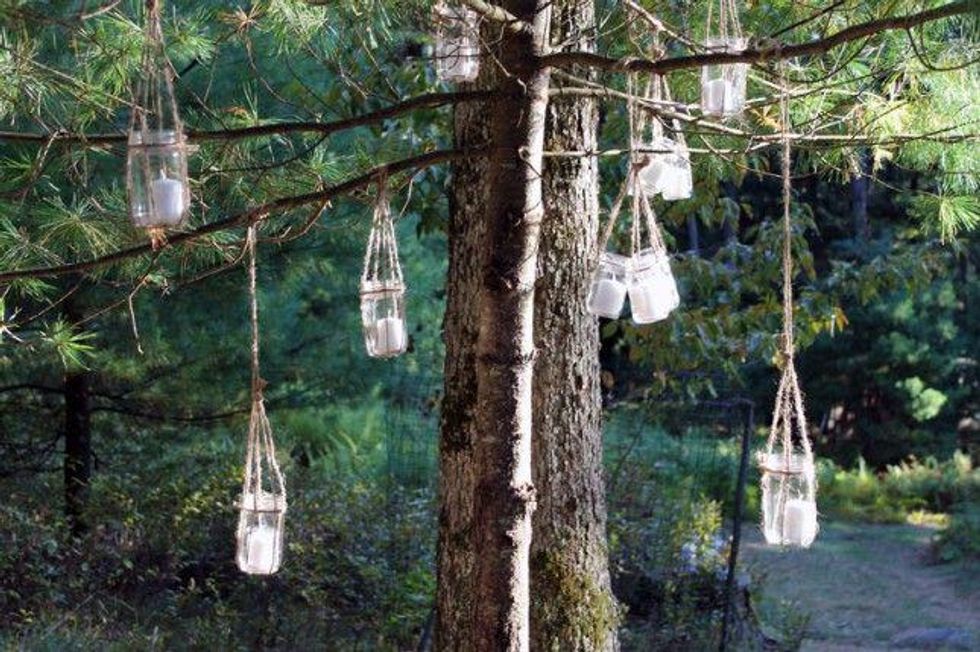 lanterns hanging from the tree