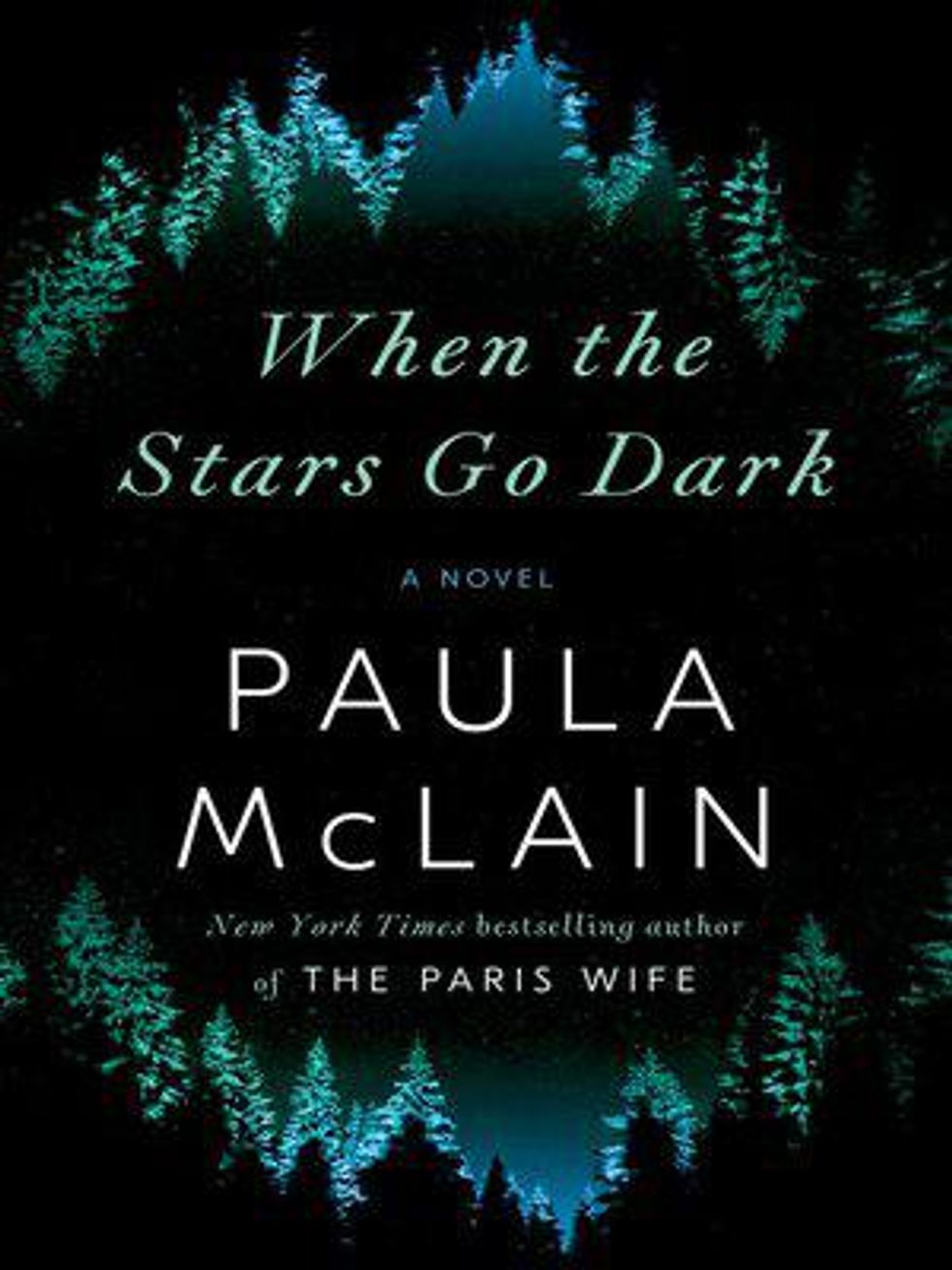 When the Stars Go Dark book