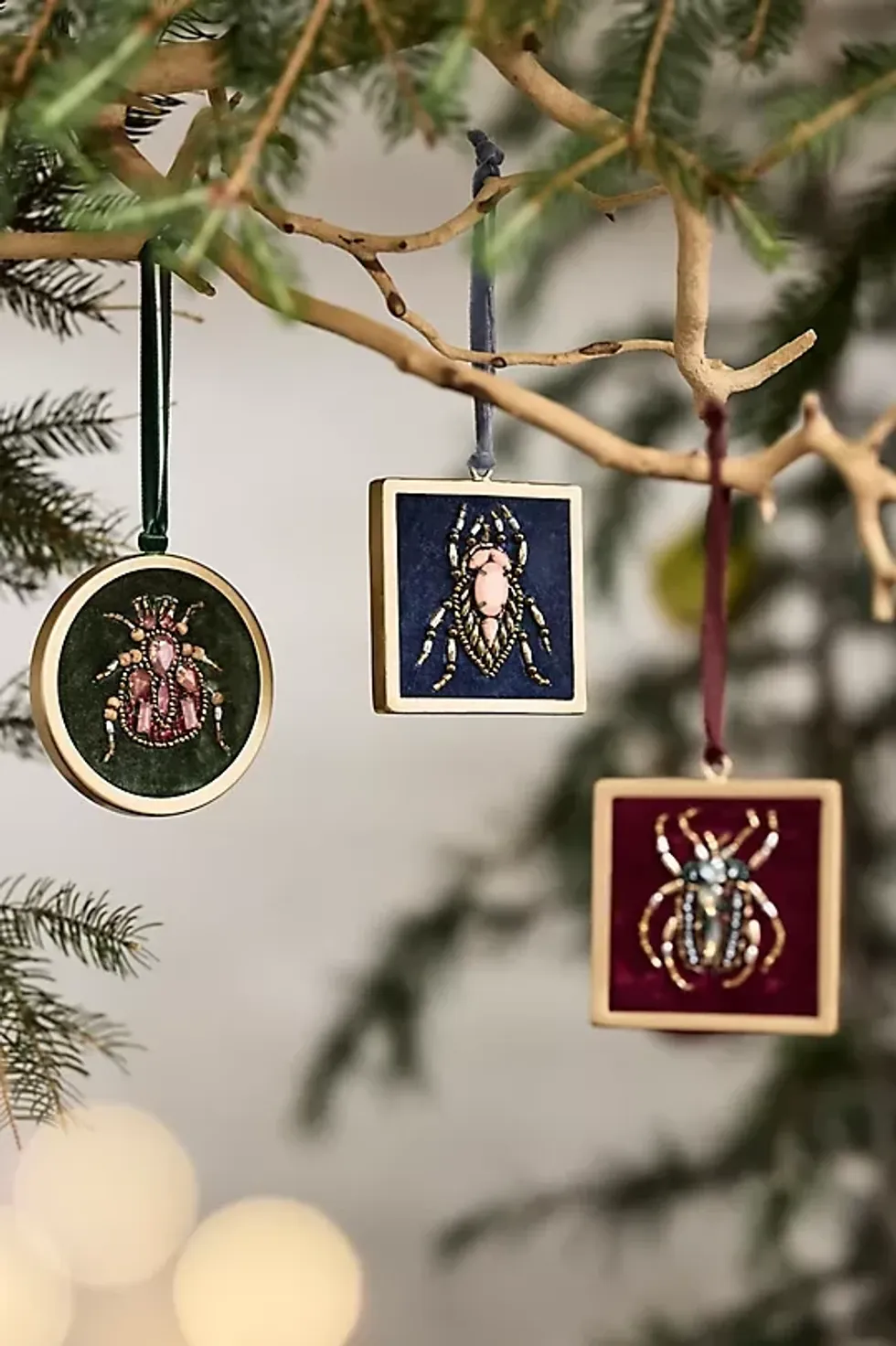 Framed Beetle Ornament