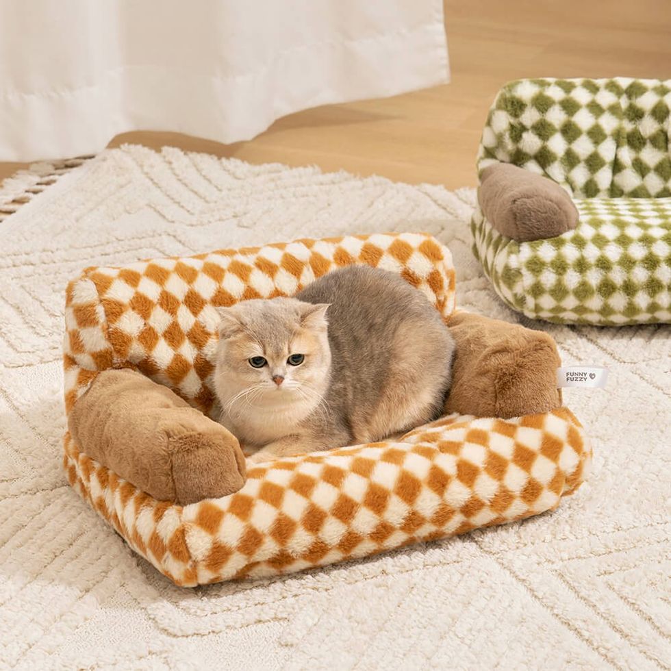 Funny Fuzzy Vintage Leisure Diamond Dog & Cat Sofa Bed