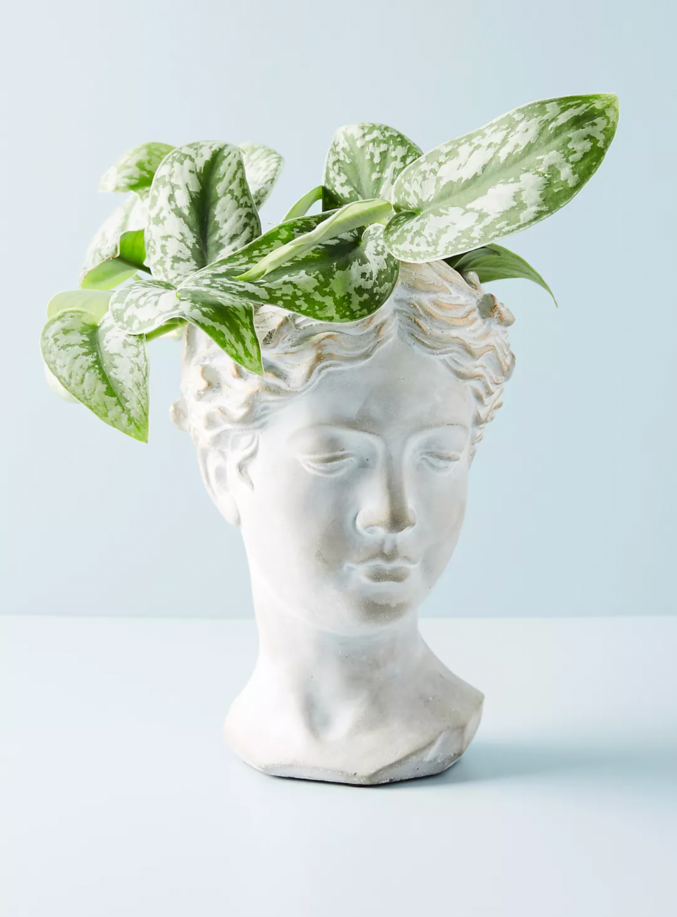 grecian bust statue plant potter