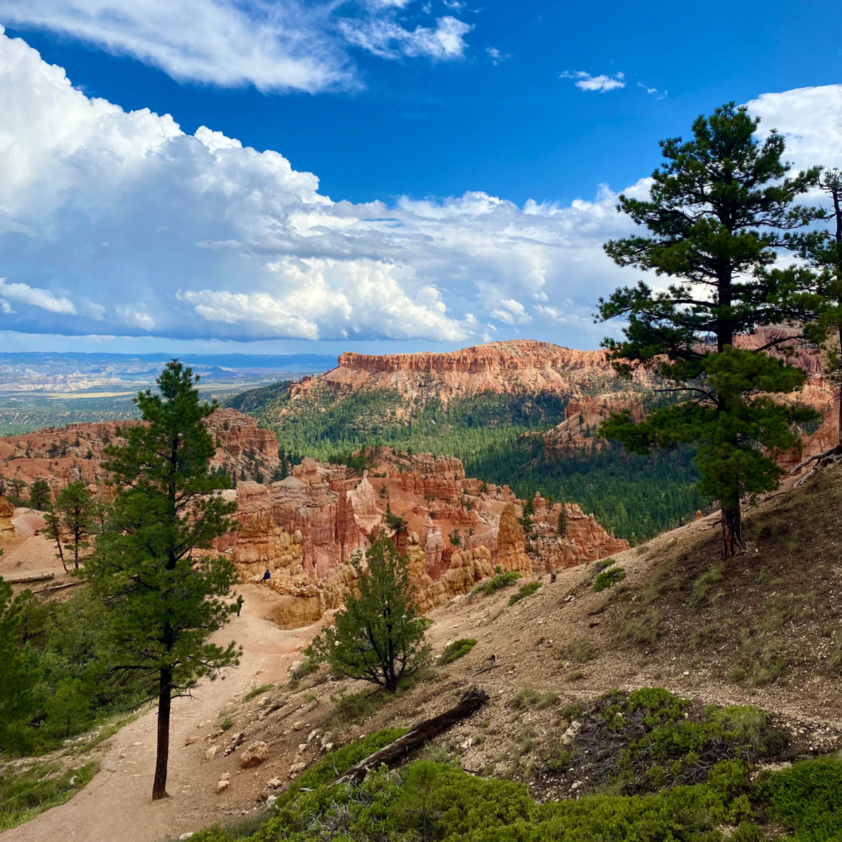 guide to Bryce Canyon National Park