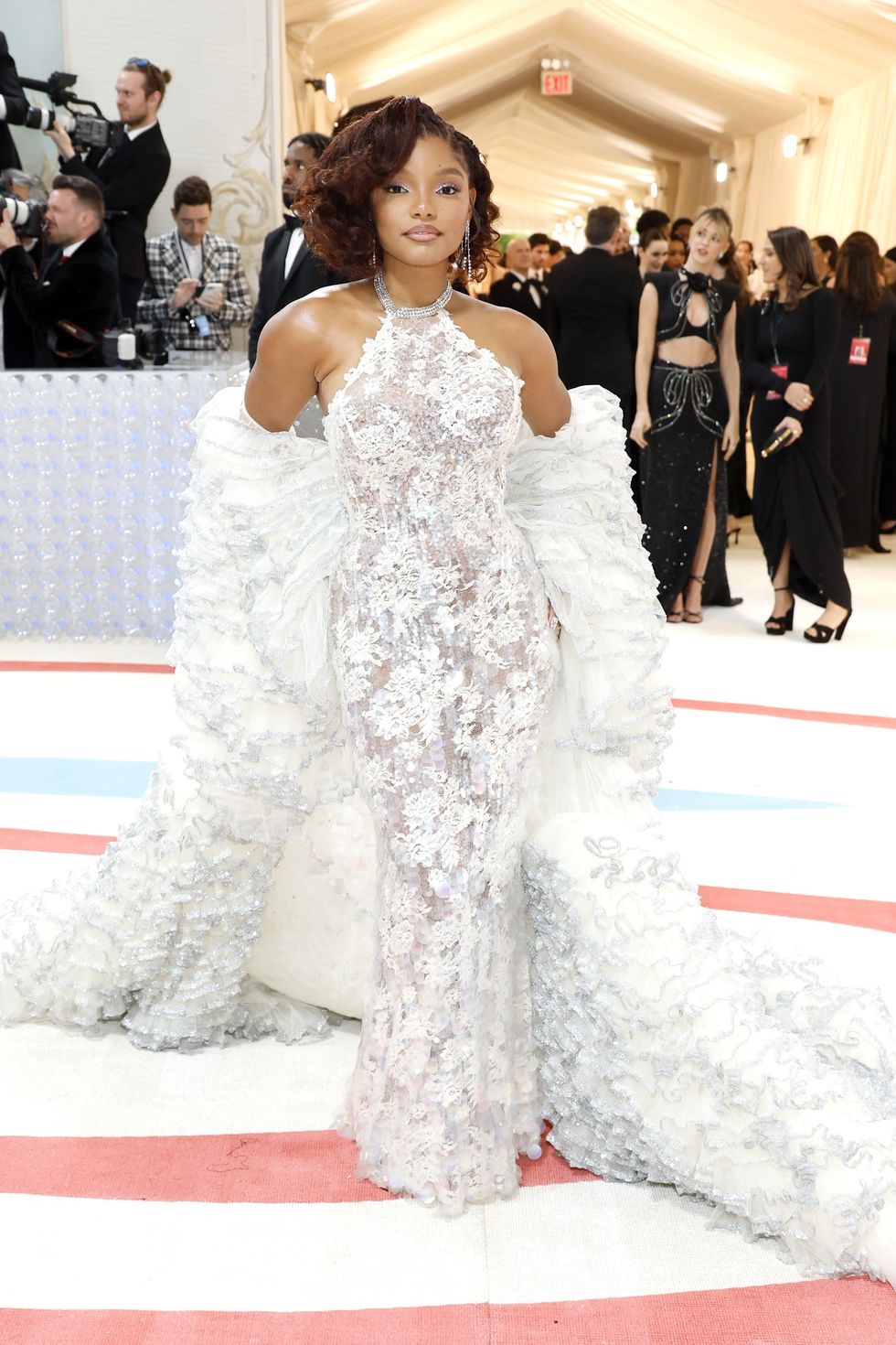 The Best Looks From The Met Gala Red Carpet 2023: Photos - Brit + Co