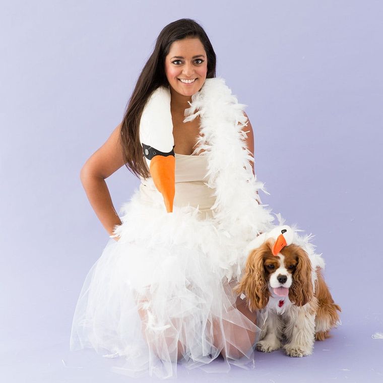 DIY Circus Dog and Owner Halloween Costume – Sparkles and Sunshine Blog