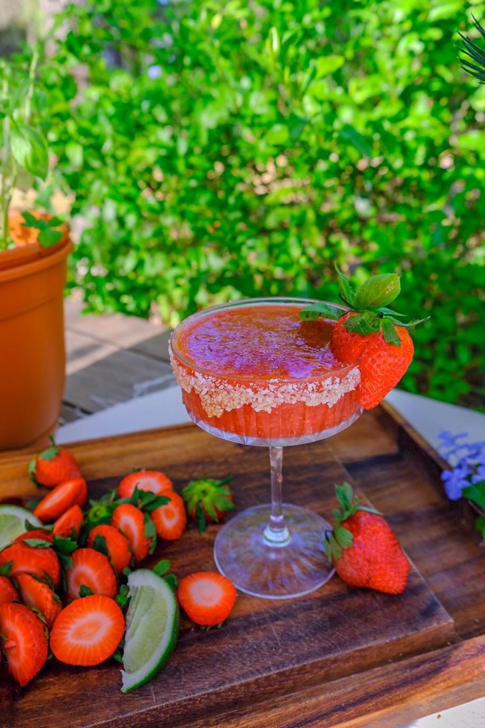 Honey Strawberry Basil Margarita