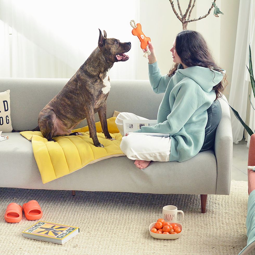 House Dogge Square Mellow Mat