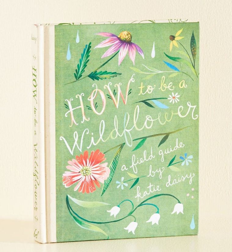 https://www.brit.co/media-library/how-to-be-a-wildflower-a-field-guide-by-katie-daisy.jpg?id=21334028&width=760&quality=90