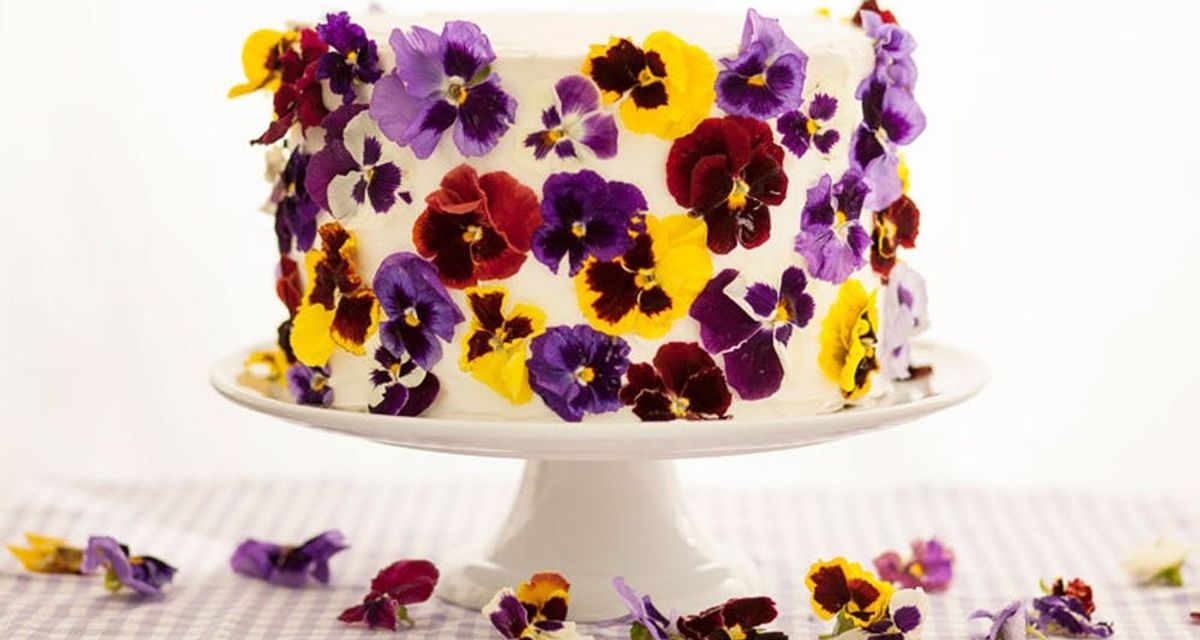 The best edible flowers for cake and how to decorate with them - Frolic and  Fare