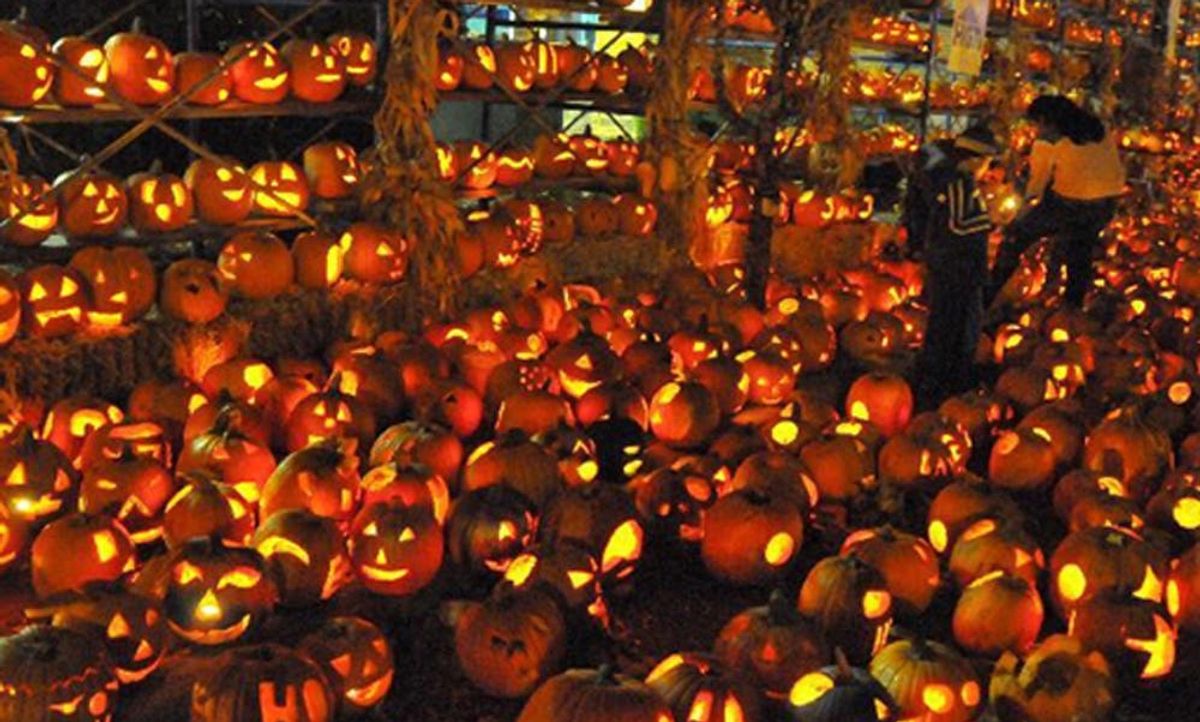 Nothing can stop the Jack-O-Lantern Spectacular from making us