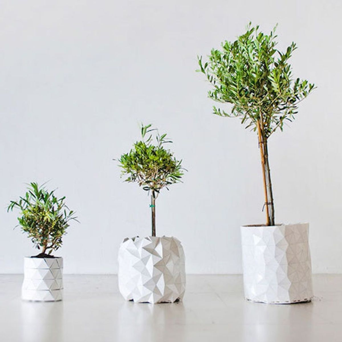 This Crazy Geometric-Inspired Pot Grows *With* Your Plant