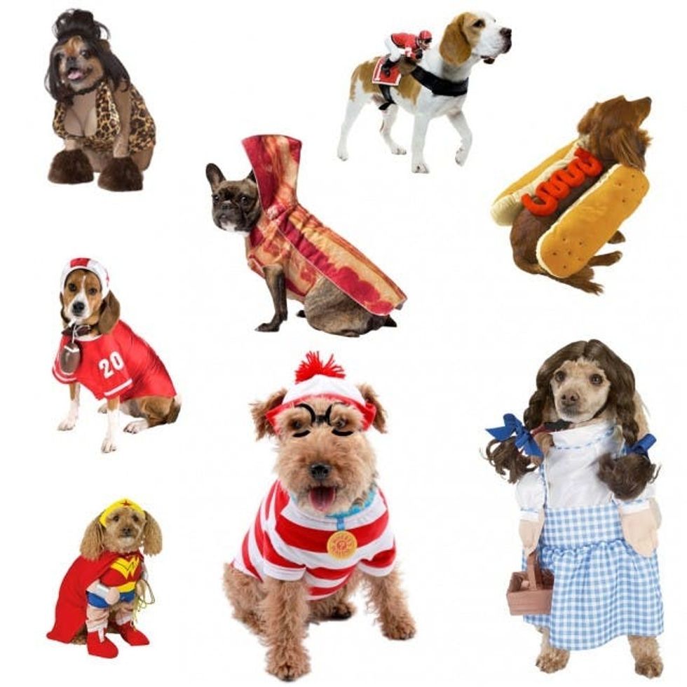 25 Dog Costumes That Will Make You LOL - Brit + Co