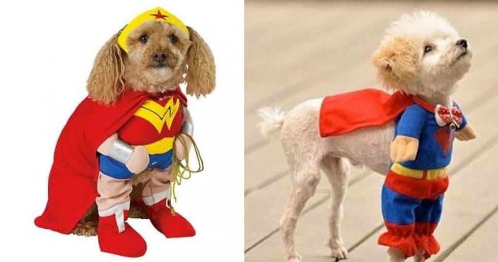 Red Football Player Dog Costume