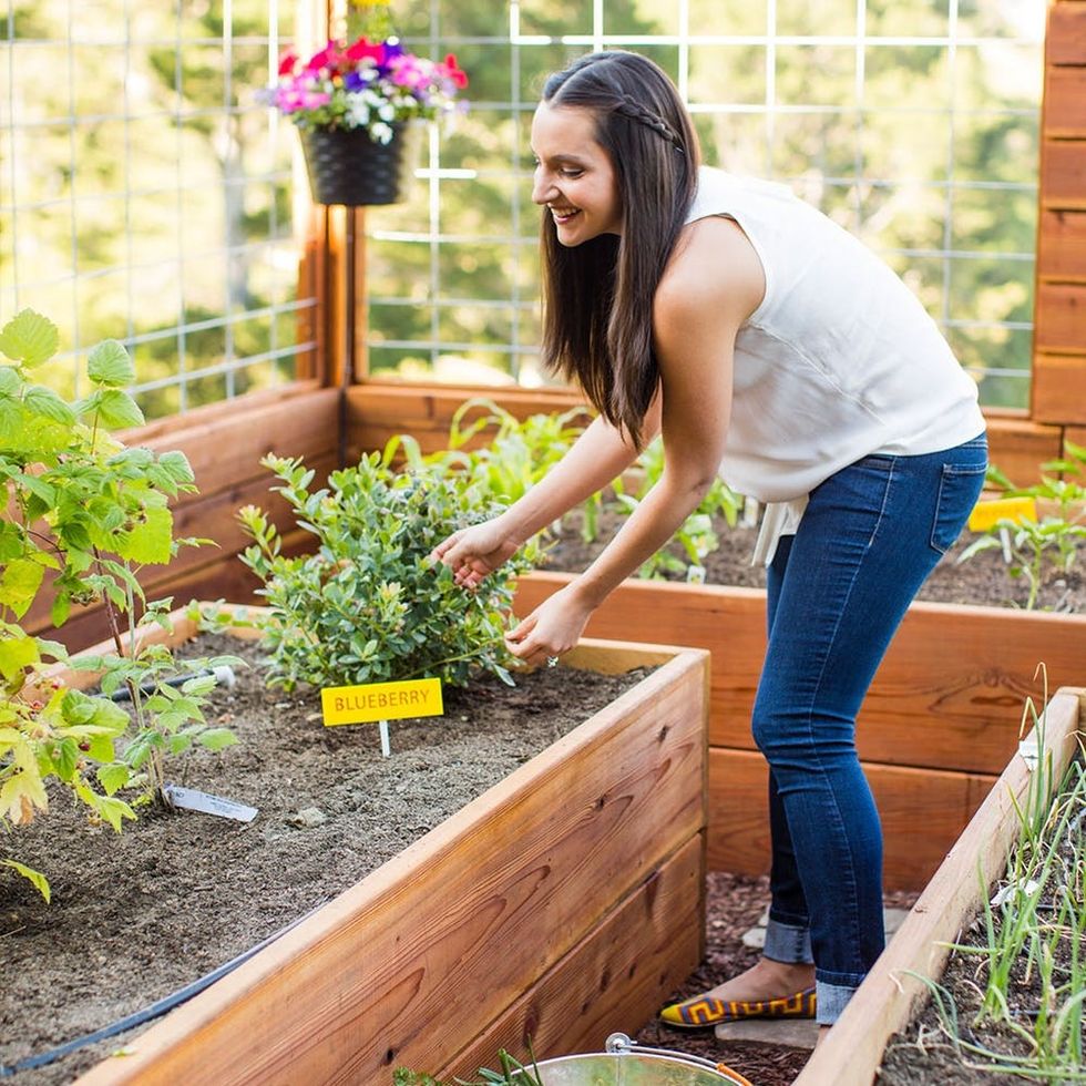 Gardening Hacks + DIYs As Seen on Good Morning America - Brit + Co