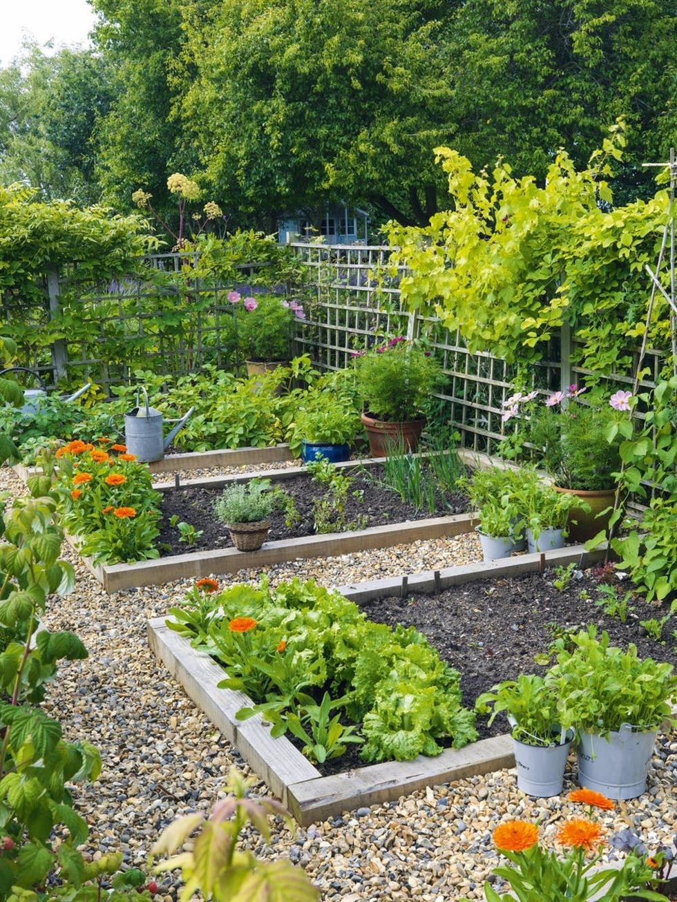 25 Inspiring Raised Garden Beds to Grow Veggies! - Brit + Co