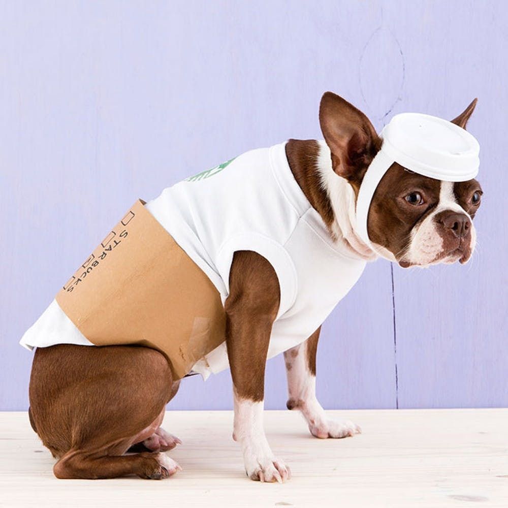 dog halloween costumes for kids