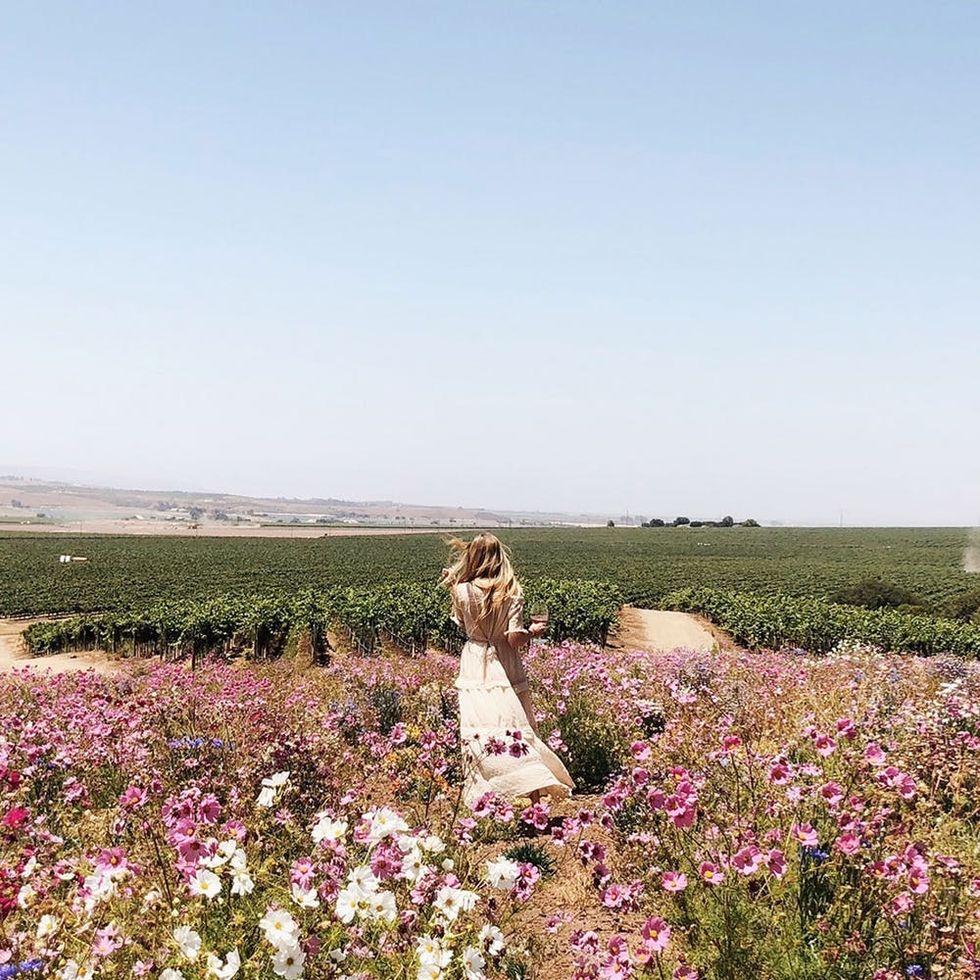 A Day in the Life of a Female Winemaker