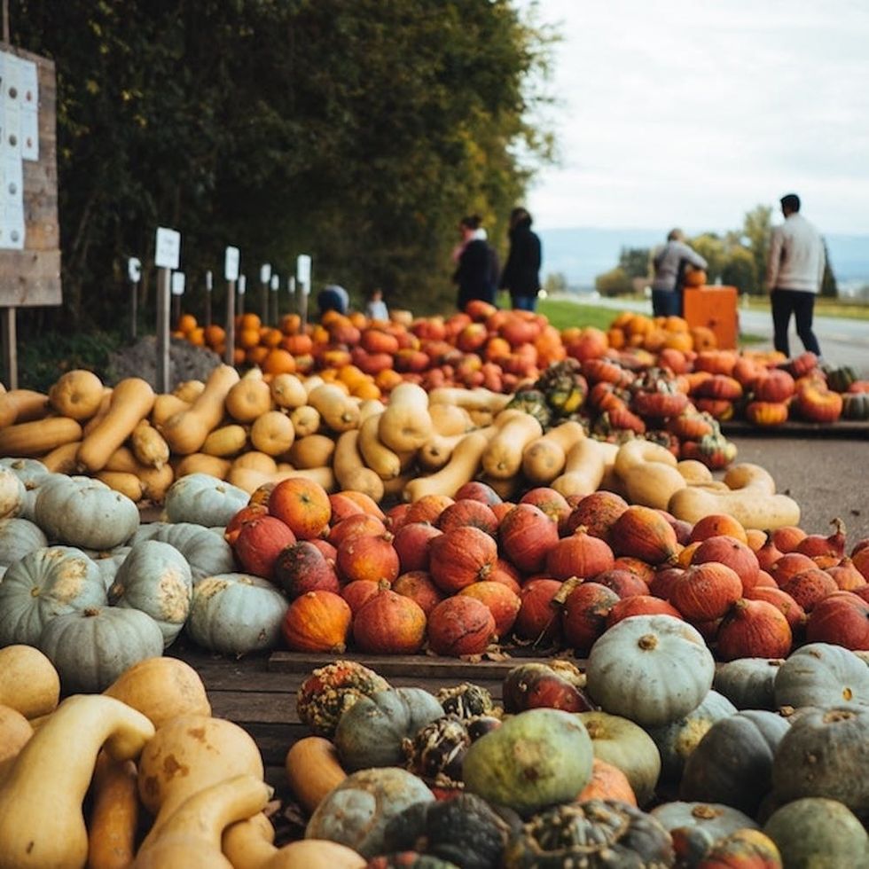 This Hands-Off Hack Makes Prepping Winter Squash a Snap