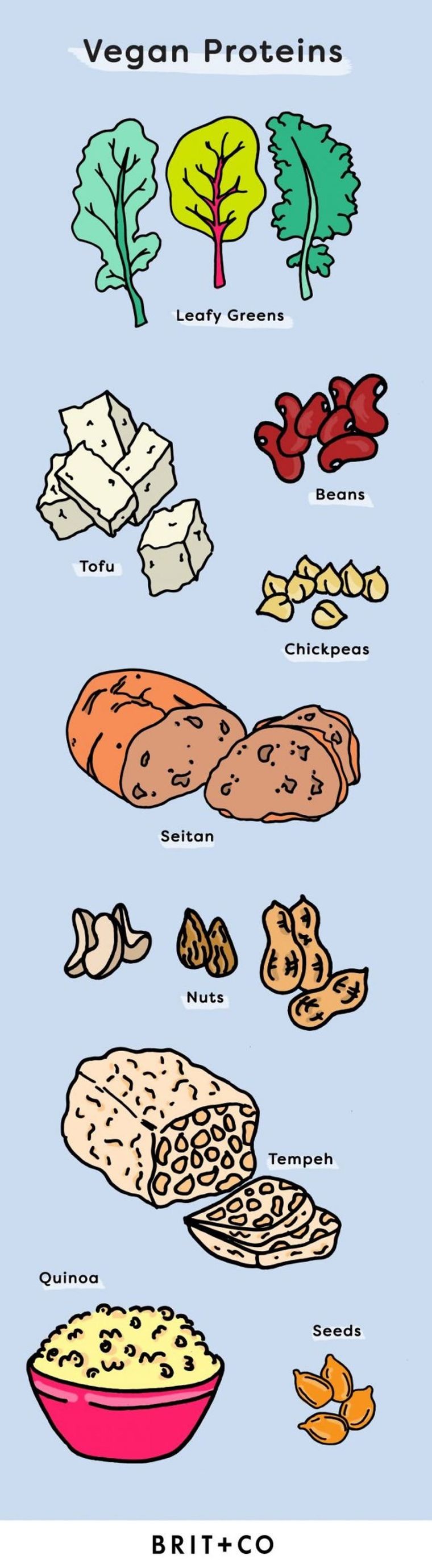 vegan protein sources chart
