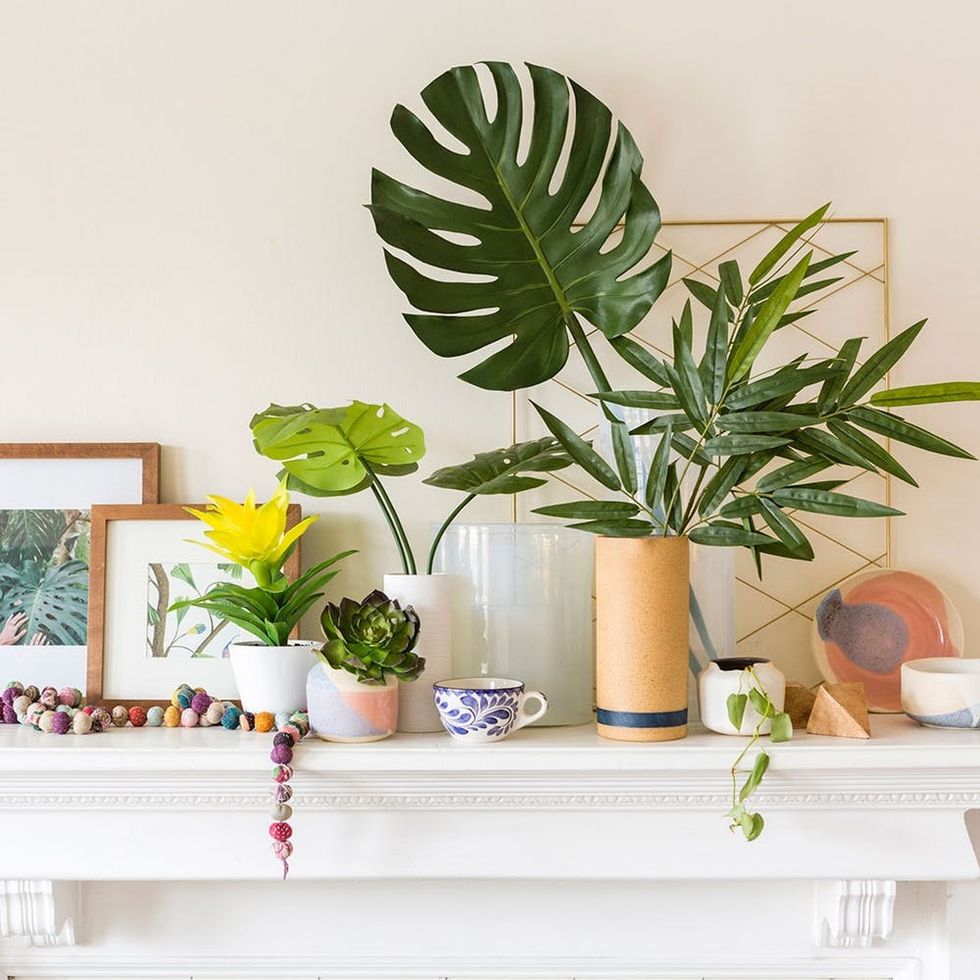 Pick These Artificial Plants for Fauxliage That Doesn’t Look So Faux