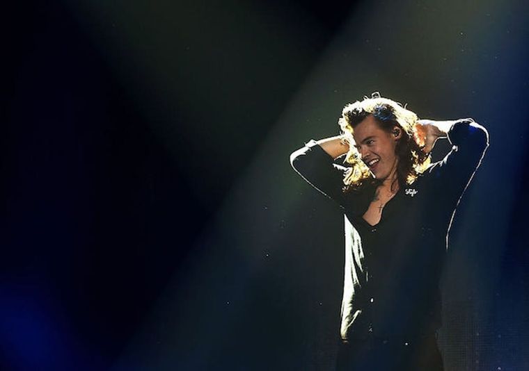 Harry Styles' Tour Outfit Is Couch-Like and Perfect - Racked